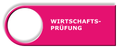 WIRTSCHAFTS- PRÜFUNG