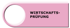 WIRTSCHAFTS- PRÜFUNG