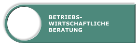 BETRIEBS- WIRTSCHAFTLICHE BERATUNG